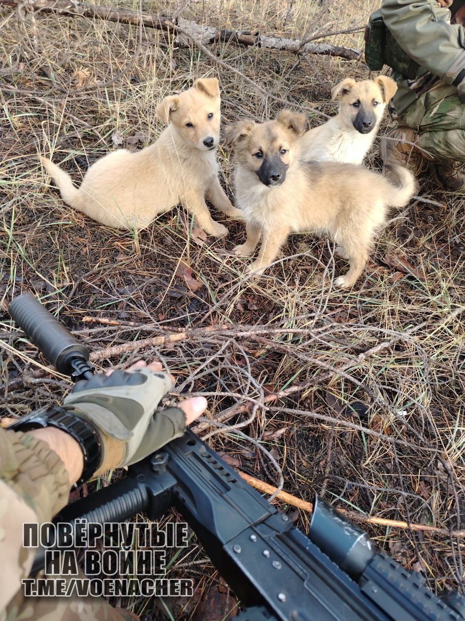 Доброе утро