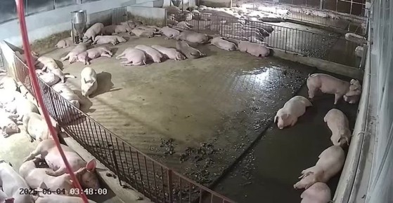 ��������� ���������: � ���� ��������� ��� ���� ����� ������ ���� "�������" �� ��������� �������