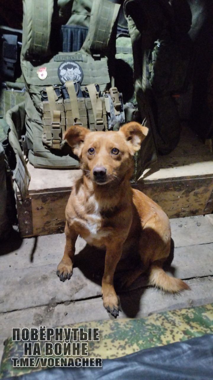 Доброе утро Доброе утро