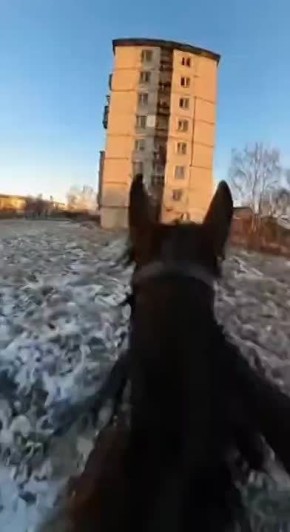 ������ �������: ������� ��� ������������ ����������� �������