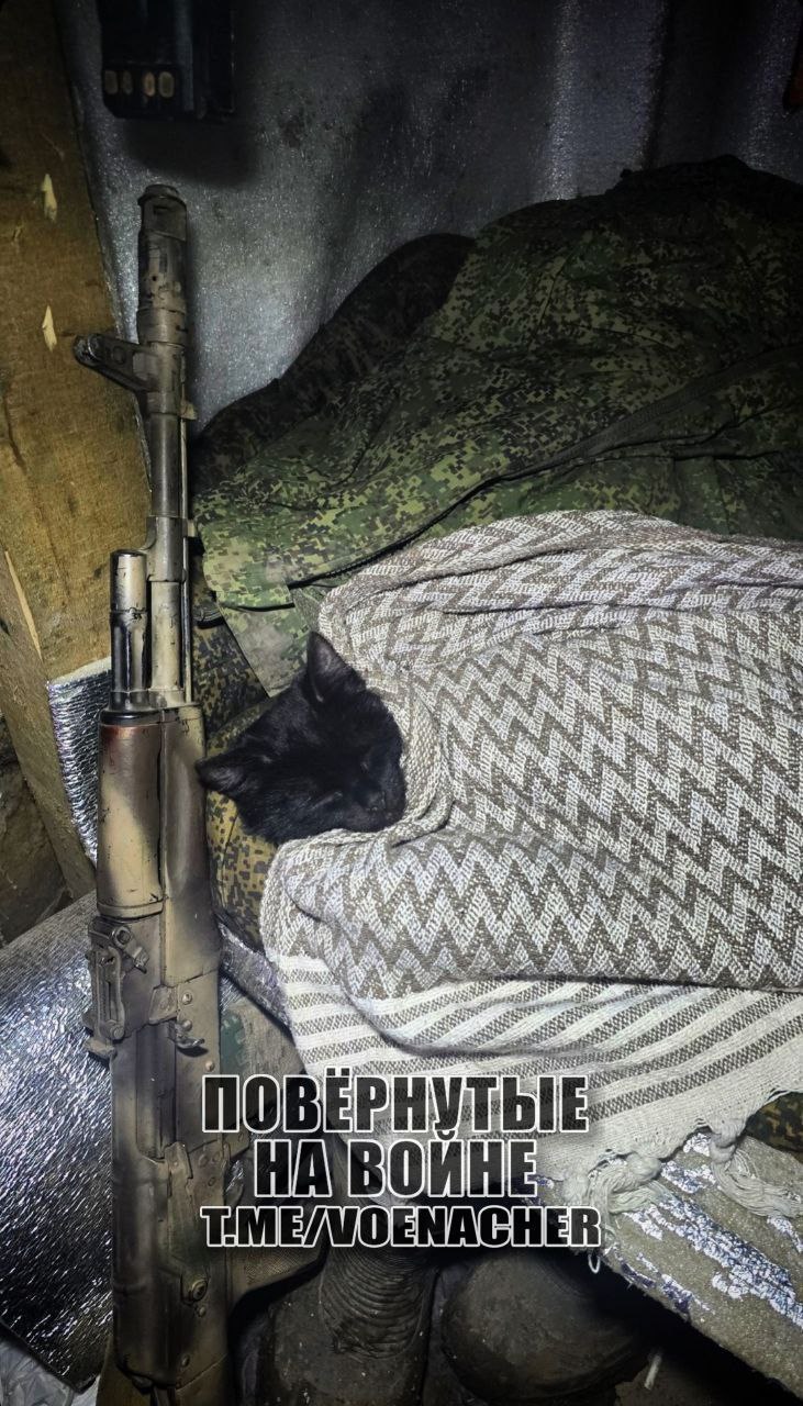 Доброе утро Доброе утро