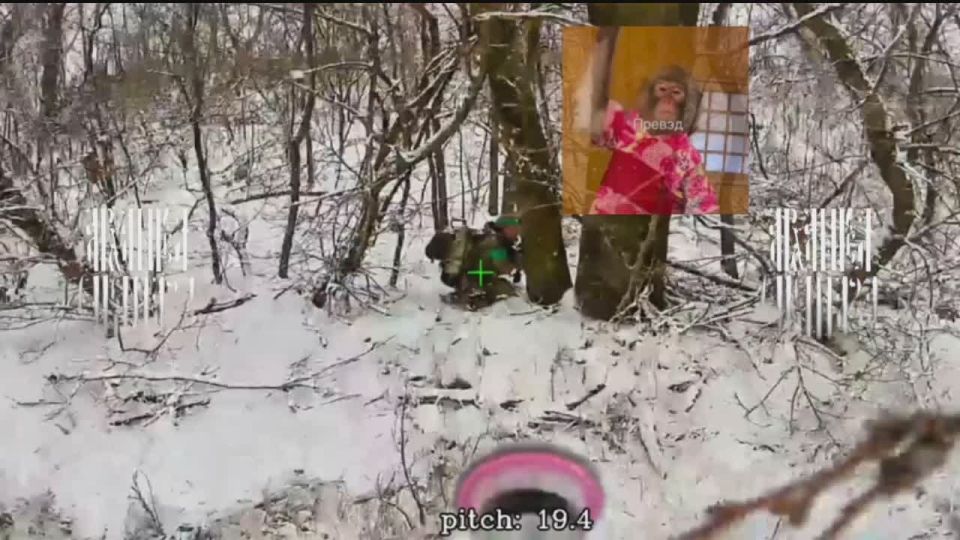 ��������� �����. ������ ������� ����������� � ������ ���� ����� ������� ������ �������