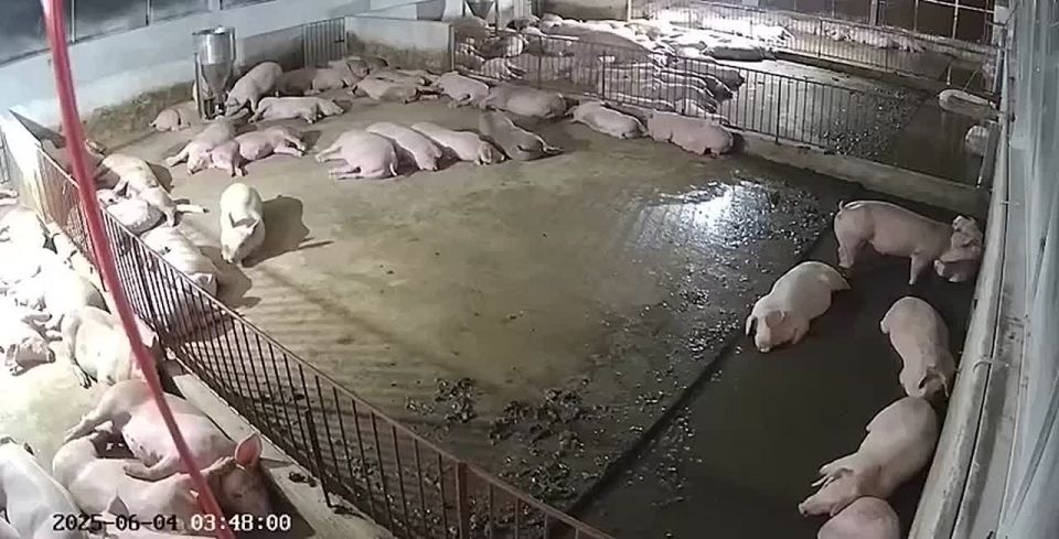 �������� �����: ��� ���� ������ ������ �������� �� ��������� �������