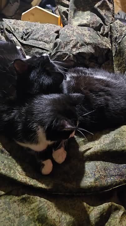 ������ �������: ��������� ������