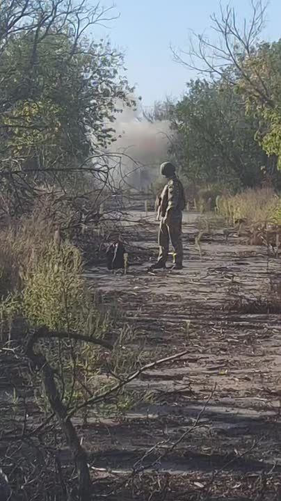 ������ �������: ��������� ���. ����� ��������