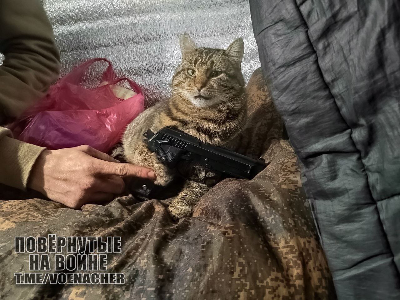 Доброе утро Доброе утро