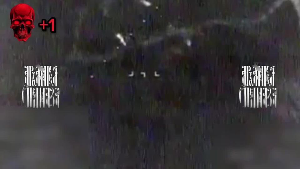 �������� ������ FPV �������