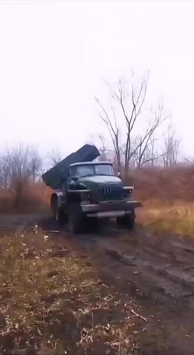 ������ �������: ������ ����