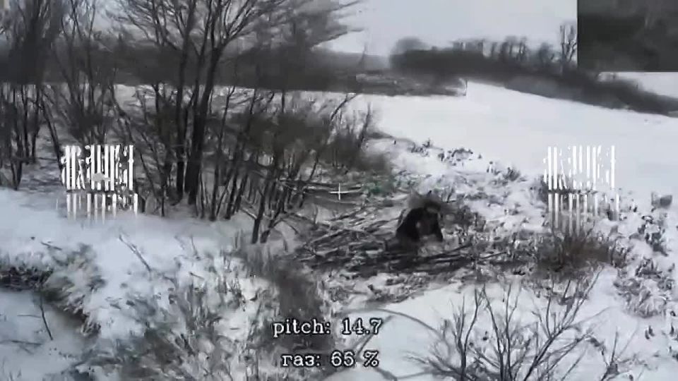 ����������� �������. ����-��� ���� ��� ���������� ������ - ������ ������ �� �����