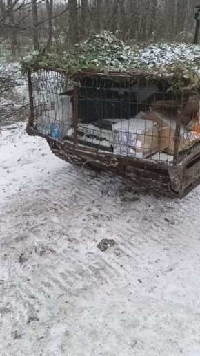 ��������� ���. ��������� ���� ������� �� ������ �������