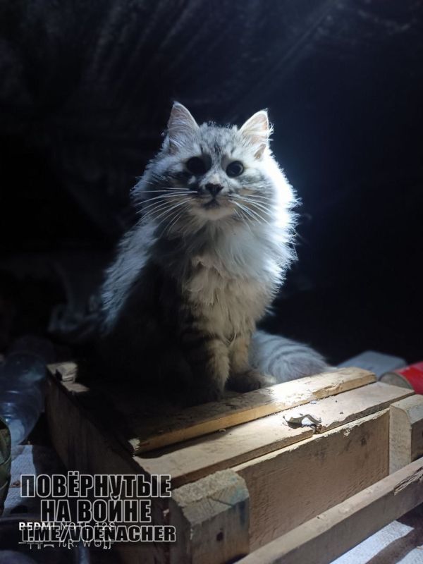 Доброе утро