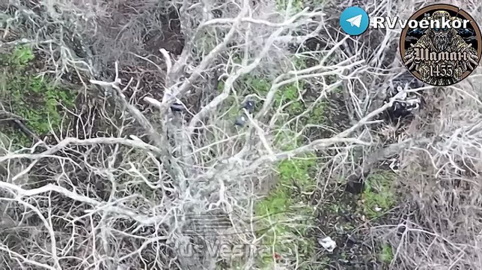 ��� �� ����������� ������: "�����" ������� ���������� ������ � ������� �����