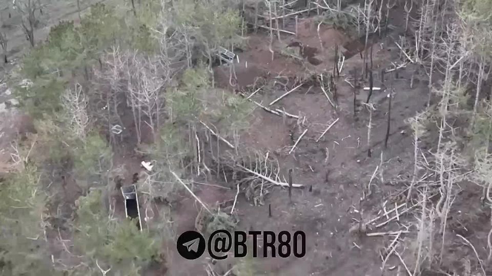 ��� ���������� ���� � �������� �������� ������� ��� �������� "���������, ������"