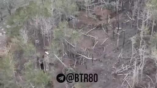 ���������� ������� � �������� � ��� ������� �������-��������� �������� ������� ����� ��� �� ����� �� ����������� � ���� ���, ����� Telegram-������ "���������, ������!"