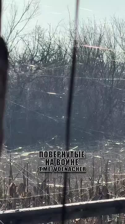 ����� �� ������� �����.. ����������� ����� �������� ���� � ����