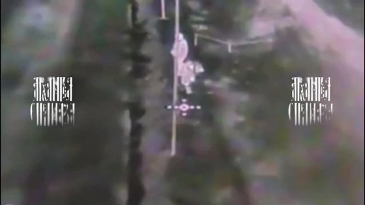 Два сверхразума. Нерасторопные сигнатуры возились возле защитной сетки от дронов