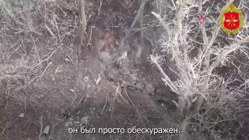 ���������� ��� ������������