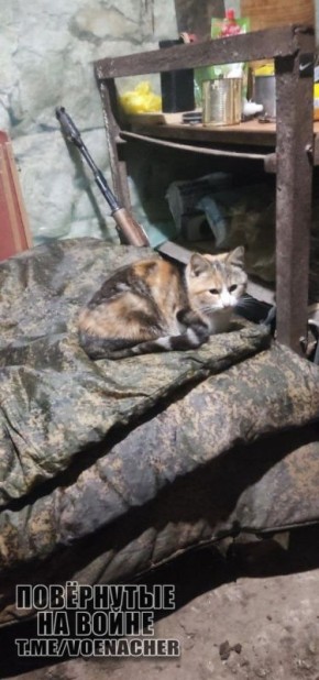 ������ ����