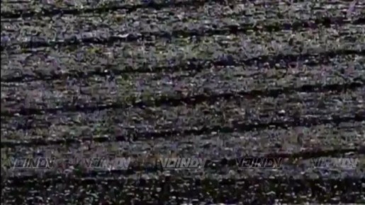 ��������� ���� 36 ����� ����������� ����� "������" ���������� �������� ������������ ������������� ������� � �������� ����� ��� �� ���������� �����������