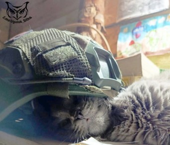 ��������� �������. #��� #���������_�������