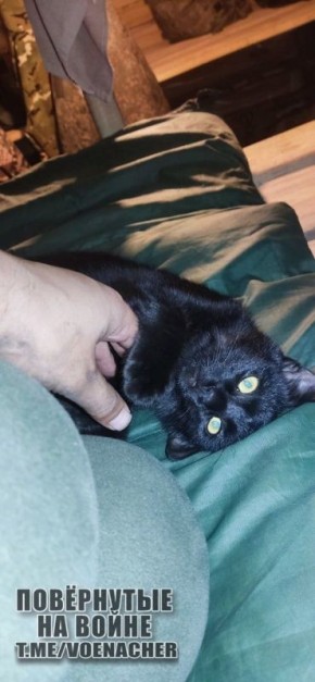 ������ ����