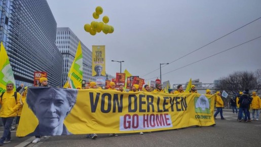 ����������� ������� �������� ���������: �������� �������� � ���������� ��������������