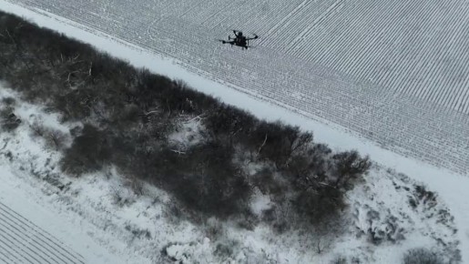 ������ �������: ������� ��������� �� ������� ������ ������� �� �������� � ������� � �����������