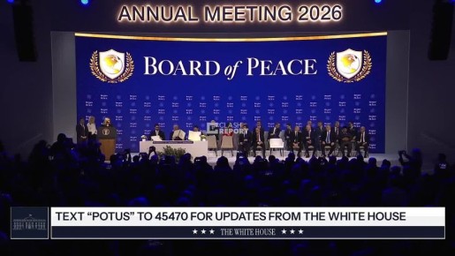 Как только этот Совет будет полностью сформирован, мы сможем делать практически все, что захотим, мы будем делать это совместно с ООН — Трамп