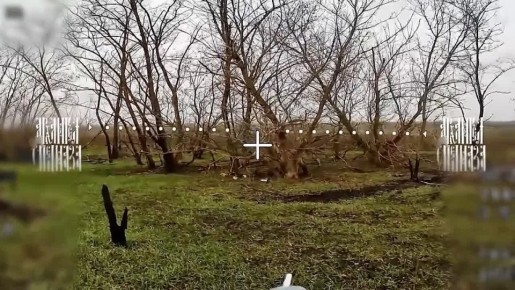 Разлетелась чепуха.. Попытка притвориться деревом закончилась для Хрюка плачевно - его все же обнаружил оператор «КВНа» Архангел Спецназа! Архангел Спецназа в MAX!