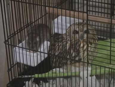 ������ �������: ������� �������� �� ���������