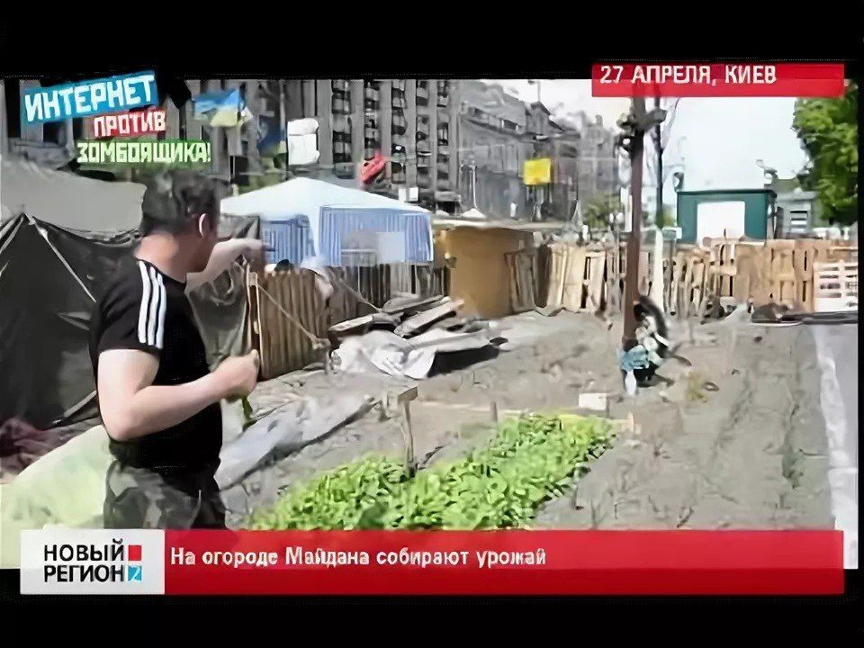 Владислав Евтушенко: В Киеве готовятся копать «туалеты как в селе», если замёрзнет канализация