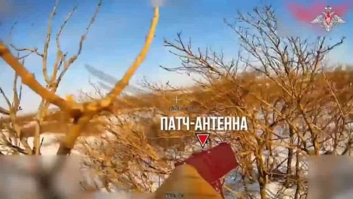 ���������� ������: ����������� ������ ��������� �������� ������������� �������, �������� ������ �����, ��������, ������� ������ � ������ ��������� ���������� ������� ������� ��� � ���� ������������