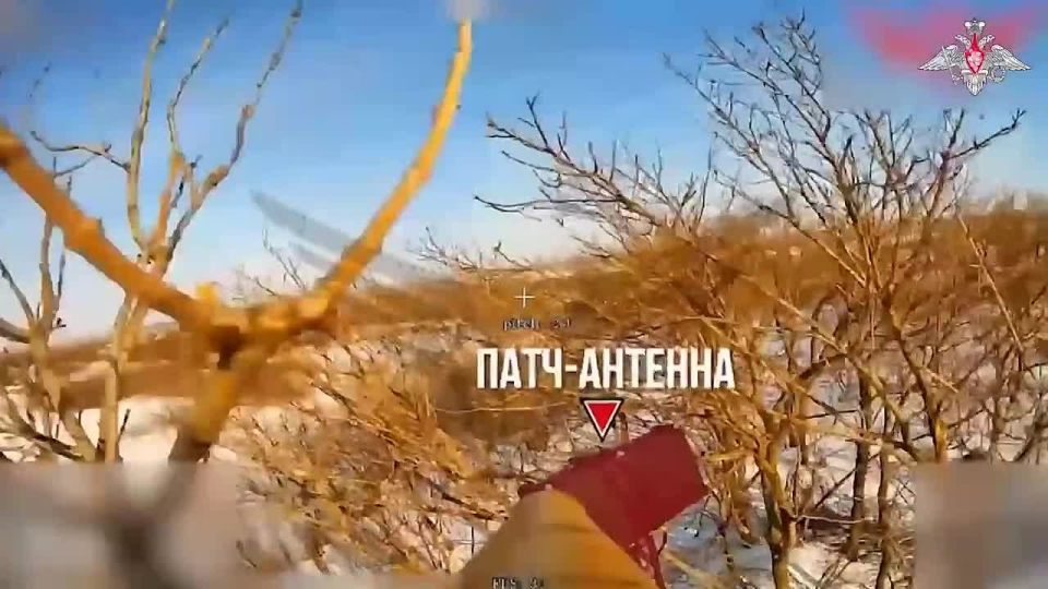 ����������� ������ ��������� �������� ������������� �������, �������� ������ �����, ��������, ������� ������ � ������ ��������� ���������� ������� ������� ��� � ���� ������������