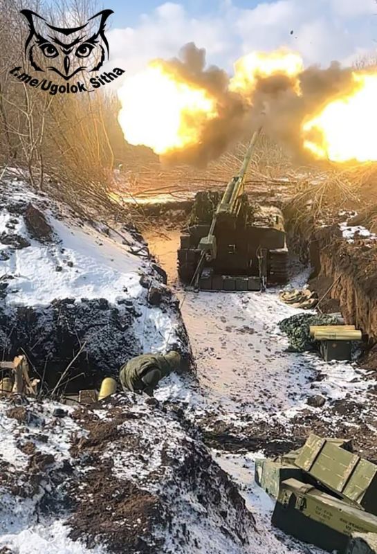 Z - � ���� ���������� ����������� ������� ��������