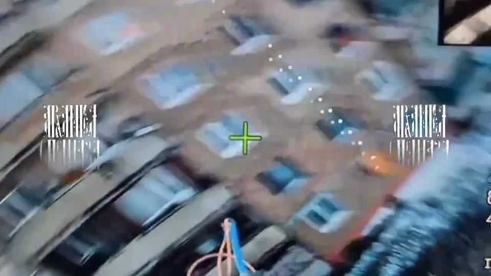 Прогулка в один конец. Оператор дрона не оставил ни единого шанса поросенку под открытым небом