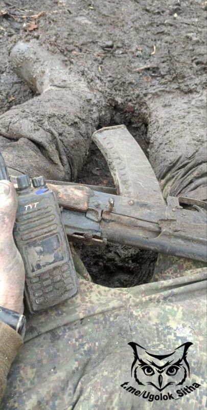 ��������� �����. #�������_���