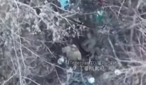 ���������� ������� �������� ������� � ���� �� �������� ��������, ��� ��������� ���������� �������, ����� � Telegram-������ "����������"