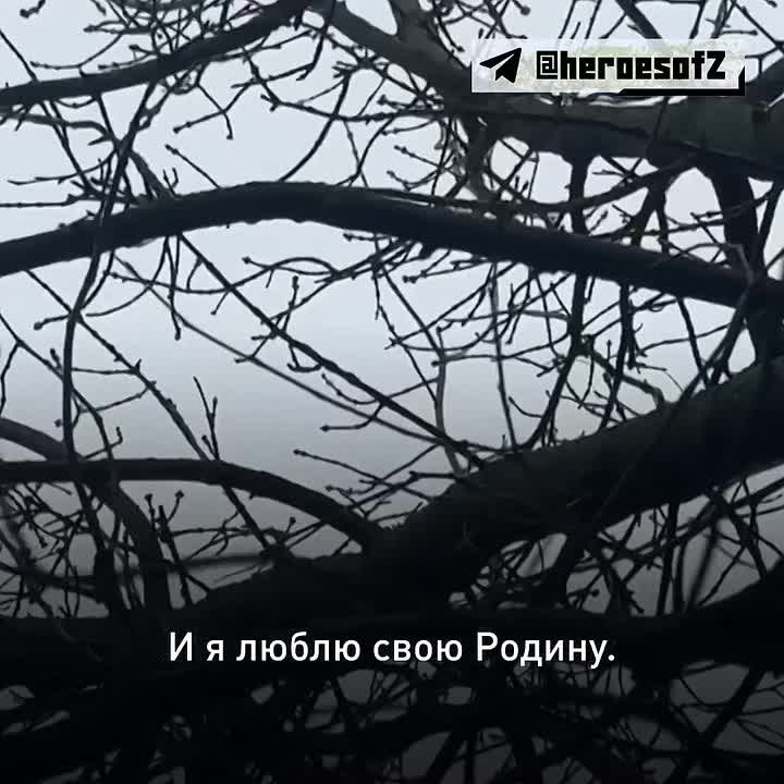 Как воины на фронте получают позывные? Иногда это решает командир