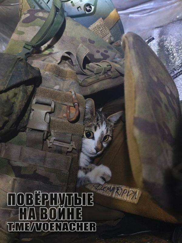 Доброе утро