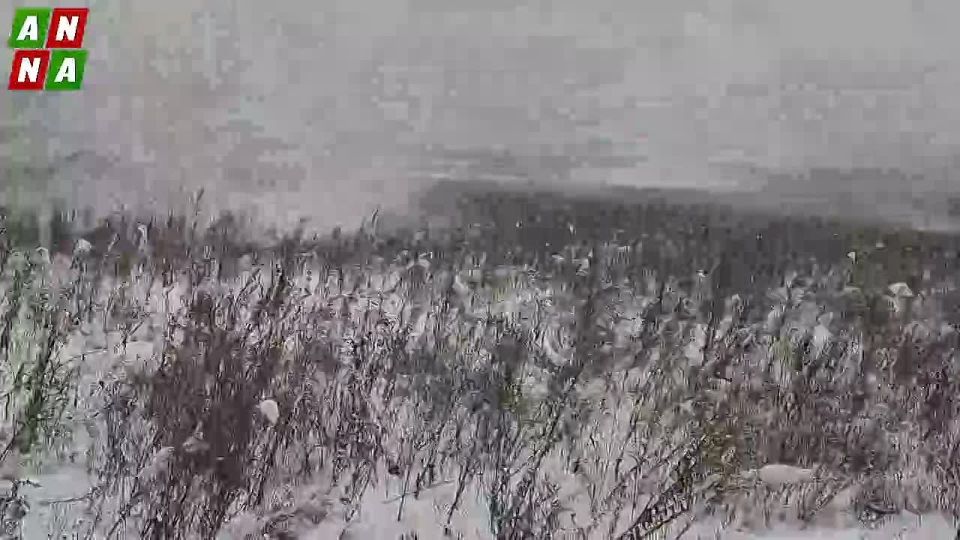 ������ ������������� ���� � ���� ���