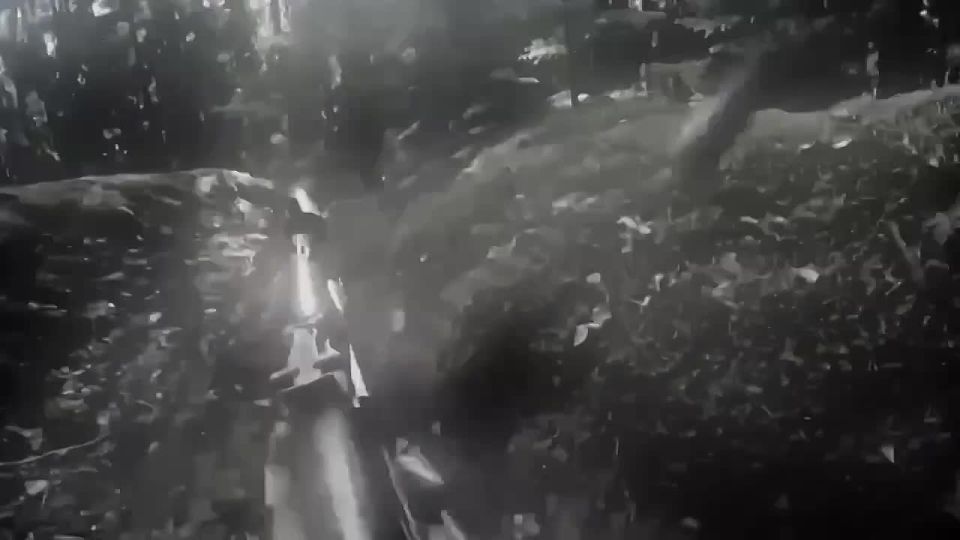 ��������� ��������� ���.. ���� � ��� ���� ������������ ��������, �� �� ������ ��������� ��� ��� � ��� ��� ���������� ���������� �� ������ � ����������� ������ �������������, ����� �� ���� �������������