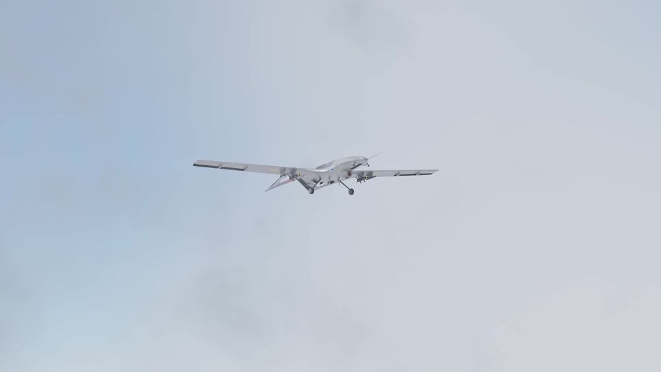 Марьяна Наумова: Когда-то в 22-м мы едва разминулись с такой птицей в Харьковской области