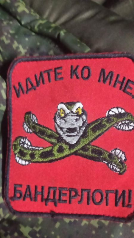 Шевроны из зоны проведения СВО