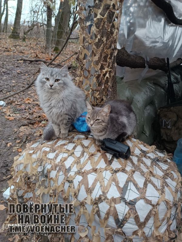 Доброе утро