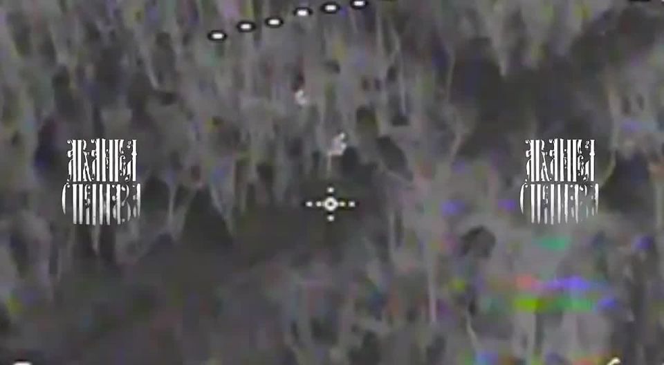 За двумя зайцами погонишься, обоих догонишь