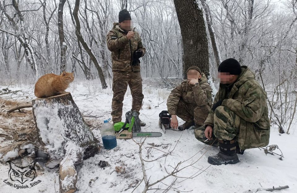 Z - � ���� ���������� ����������� ������� ��������