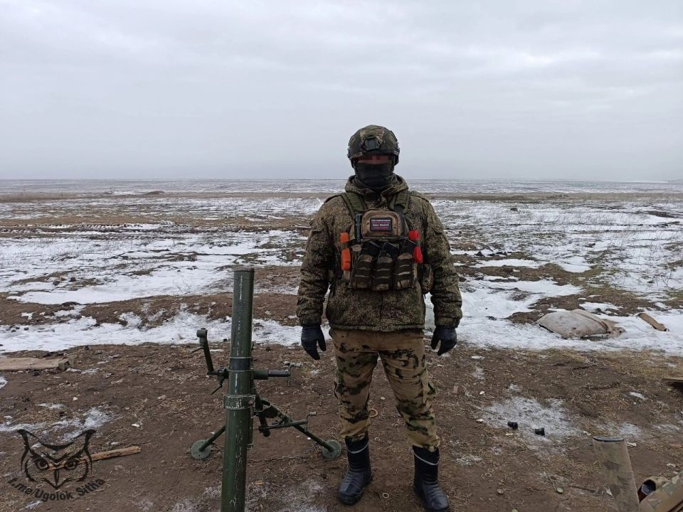 Z - � ���� ���������� ����������� ������� ��������