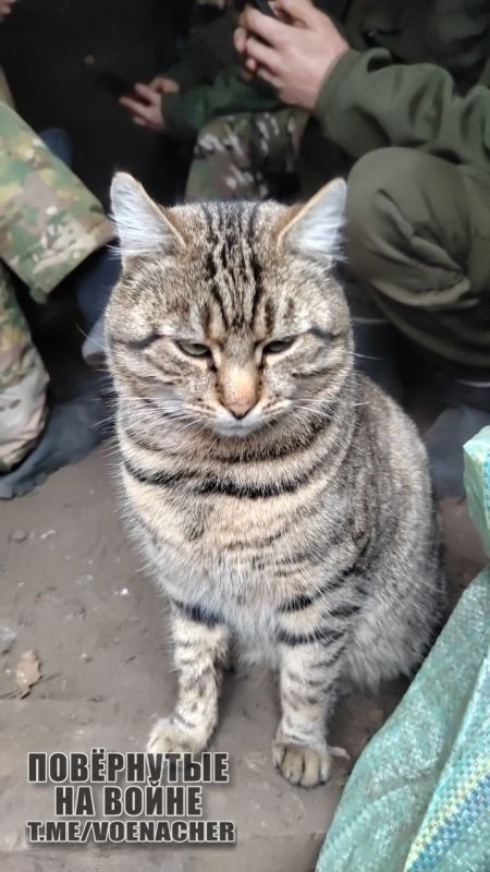 Доброе утро