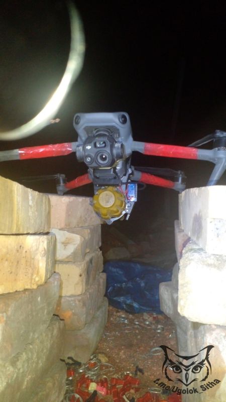 Z - � ���� ���������� ����������� ������� ��������