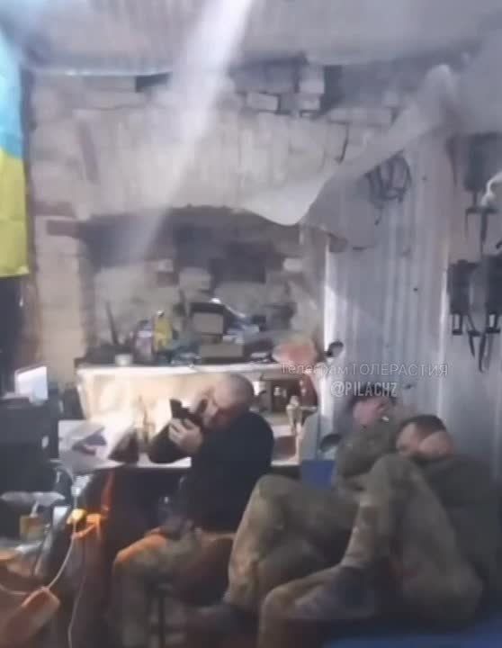 "��, ��� ��� ��� ��������": �������� ����������� ����������� � ����������� �����-���������, ������� ����� � ���, ����� Telegram-������ "����������"